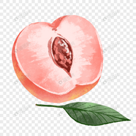 看片APP应用